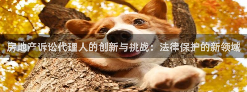 天狮娱乐-扣 股东：房地产诉讼代理人的创新与挑战：法律保护的