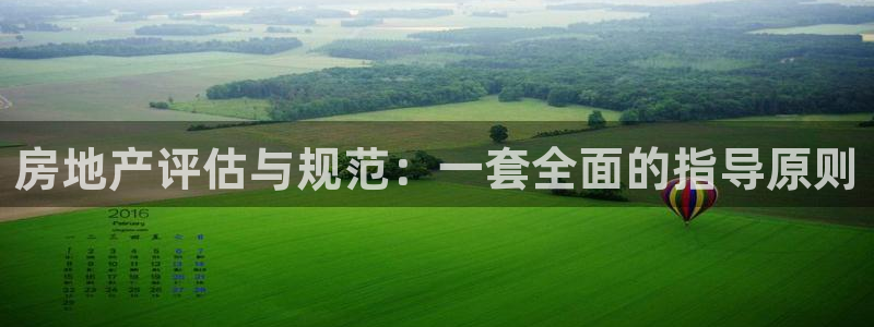 天狮娱乐bd33net广告：房地产评估与规范：一套全面的指导