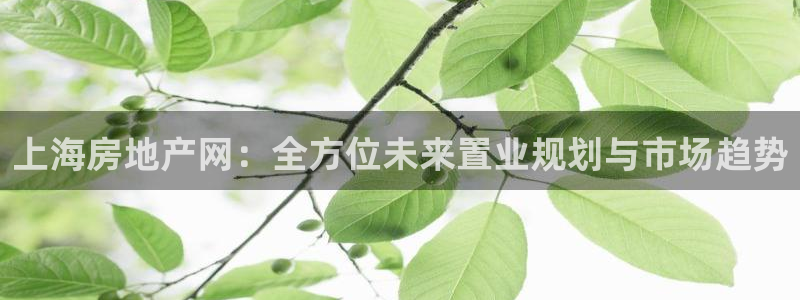 天狮娱乐手机挂机：上海房地产网：全方位未来置业规划与市场趋势