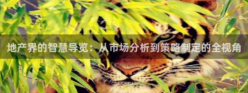 天狮娱乐学：地产界的智慧导览：从市场分析到策略制定的全视角