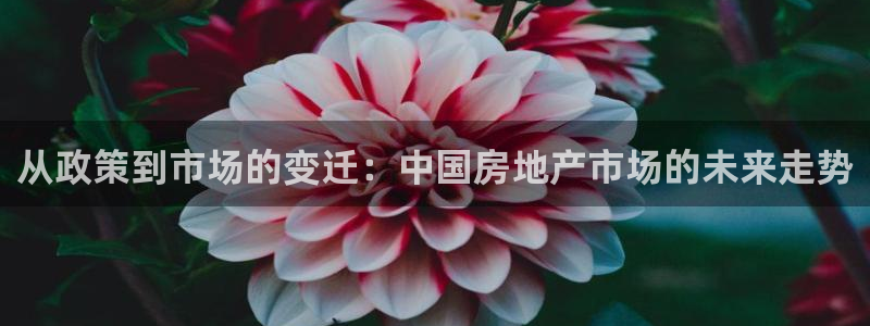 天狮娱乐bd33net广告：从政策到市场的变迁：中国房地产市