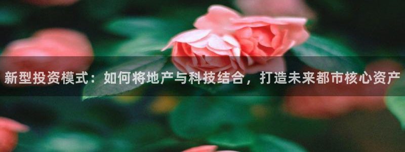 天狮娱乐是什么意思：新型投资模式：如何将地产与科技结合，打造