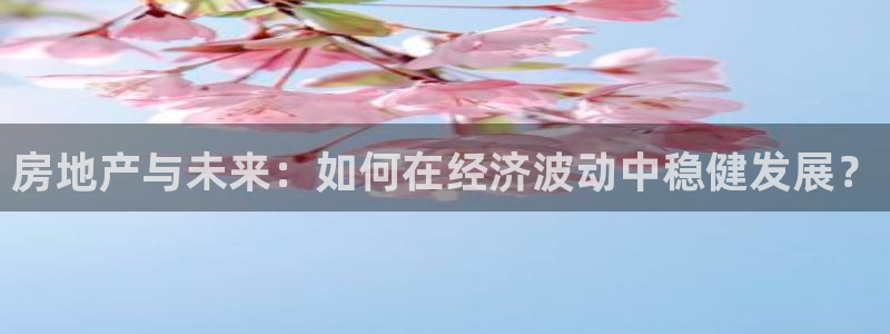 天狮会娱乐会所：房地产与未来：如何在经济波动中稳健发展？