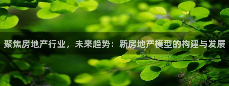 天狮娱乐e 判官：聚焦房地产行业，未来趋势：新房地产模型的构