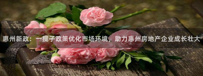 天狮娱乐指尖下：惠州新政：一揽子政策优化市场环境，助力惠州房