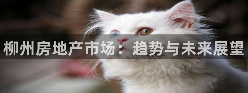 天狮娱乐注册q 0：柳州房地产市场：趋势与未来展望