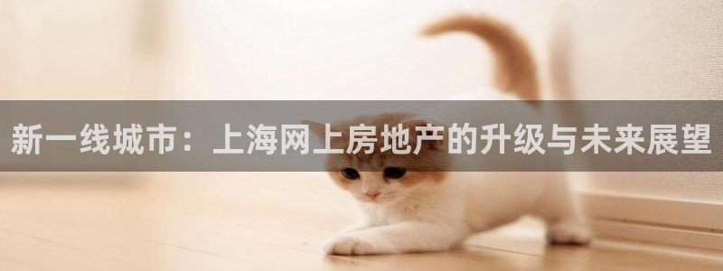 天狮娱乐指尖下载手机版：新一线城市：上海网上房地产的升级与未