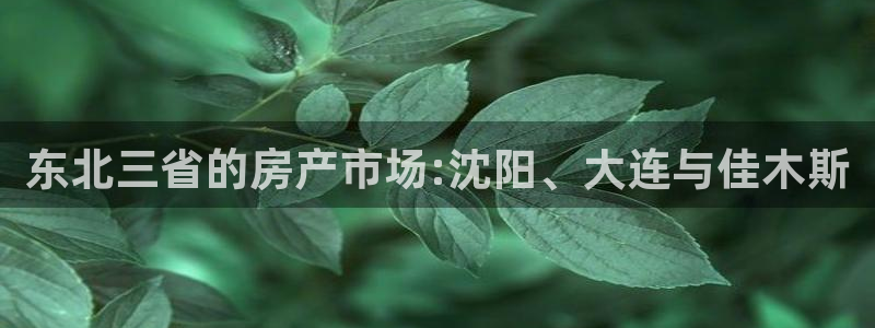 天狮娱乐平台是哪里的：东北三省的房产市场:沈阳、大连与佳木斯