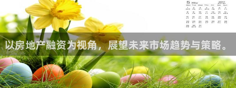 天狮娱乐彩票注册：以房地产融资为视角，展望未来市场趋势与策略