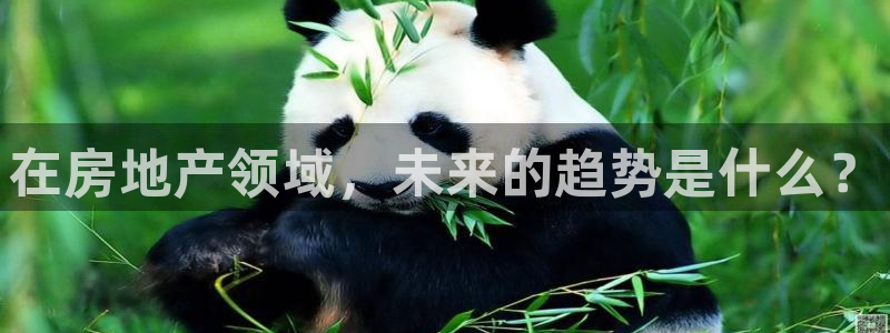 天狮娱乐玩法：在房地产领域，未来的趋势是什么？
