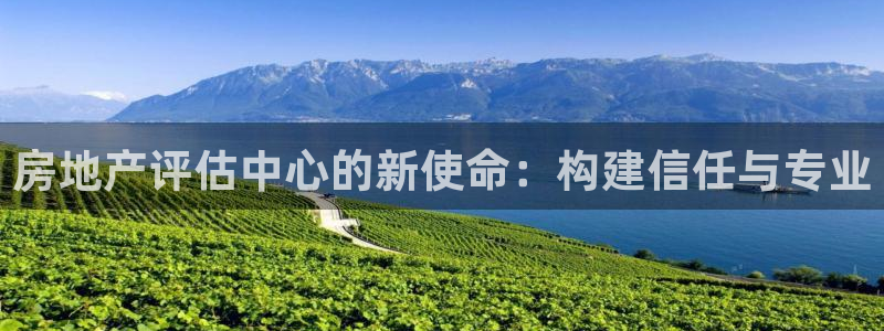 天狮娱乐 接待 0：房地产评估中心的新使命：构建信任与专业