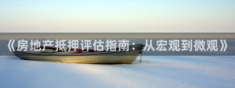 天狮娱乐谁在玩：《房地产抵押评估指南：从宏观到微观》