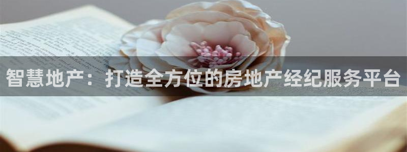 天狮娱乐专线：智慧地产：打造全方位的房地产经纪服务平台