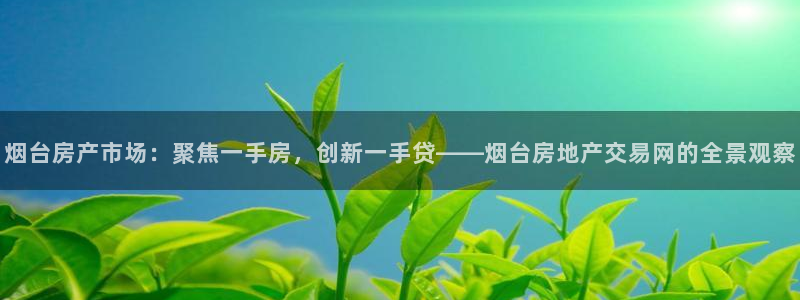 天狮娱乐怎么下载：烟台房产市场：聚焦一手房，创新一手贷——烟