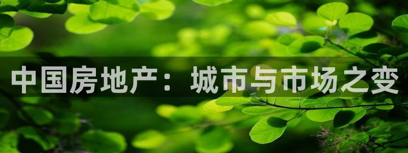 天狮娱乐主管57757：中国房地产：城市与市场之变