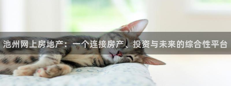 天狮娱乐怎么下载：池州网上房地产：一个连接房产、投资与未来的