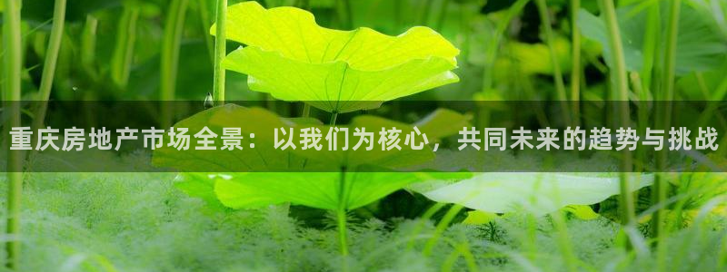 天狮娱乐 m.hbzhedu.cn：重庆房地产市场全景：以我
