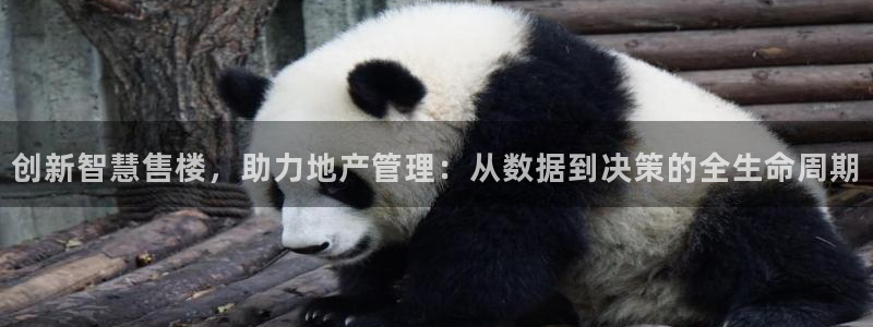 天狮娱乐鱼刺A软件：创新智慧售楼，助力地产管理：从数据到决策