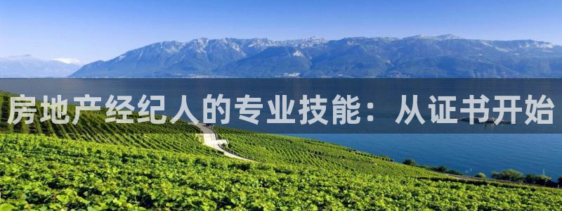 天狮娱乐手机app：房地产经纪人的专业技能：从证书开始