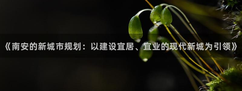 天狮娱乐会所怎么样：《南安的新城市规划：以建设宜居、宜业的现