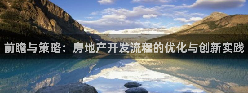 天狮娱乐 股31661东r：前瞻与策略：房地产开发流程的优化