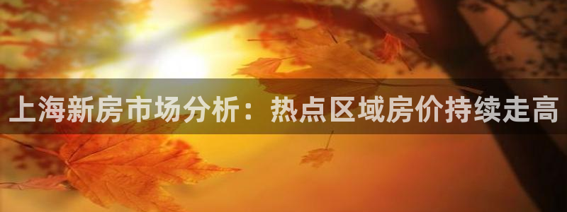 天狮娱乐扣扣29229：上海新房市场分析：热点区域房价持续走