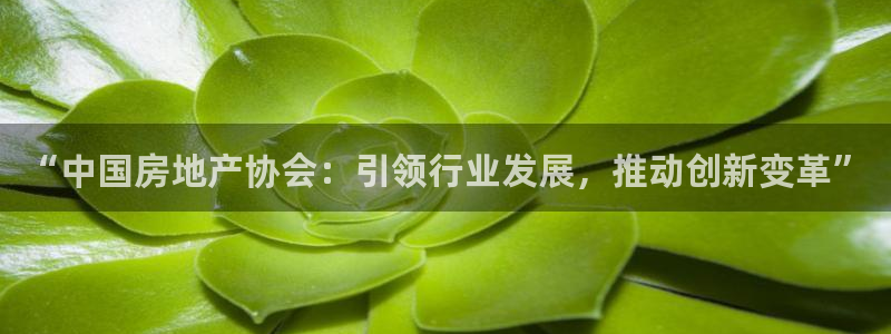 天狮娱乐 送彩金酷赢：“中国房地产协会：引领行业发展，推动创