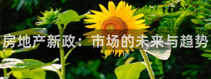 天狮娱乐平台贴吧：房地产新政：市场的未来与趋势