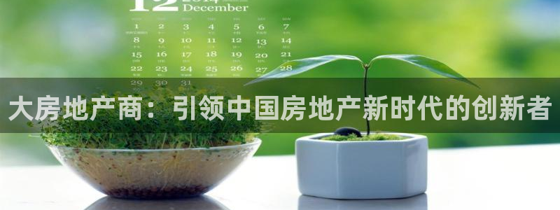 天狮娱乐首页：大房地产商：引领中国房地产新时代的创新者
