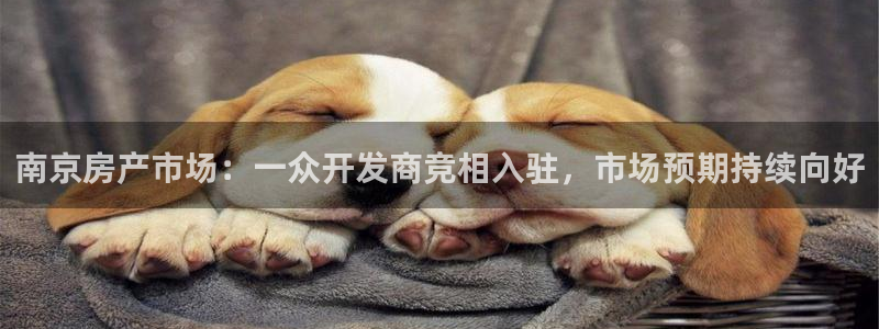 天狮娱乐注册：南京房产市场：一众开发商竞相入驻，市场预期持续