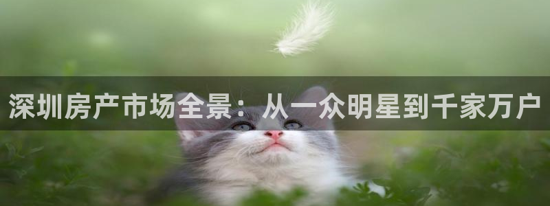 天狮国际娱乐：深圳房产市场全景：从一众明星到千家万户