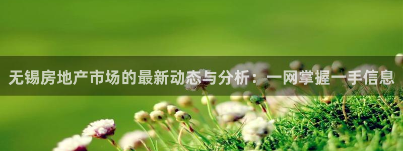 天狮娱乐客服电话：无锡房地产市场的最新动态与分析：一网掌握一