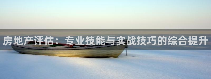 天狮娱乐招商57757：房地产评估：专业技能与实战技巧的综合