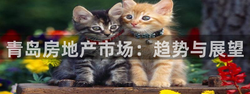 天狮娱乐61116：青岛房地产市场：趋势与展望