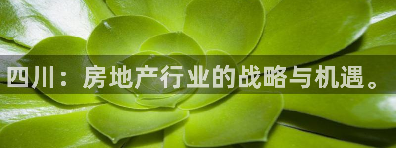 天狮娱乐家：四川：房地产行业的战略与机遇。
