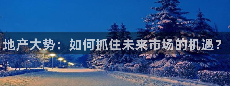 天狮娱乐是什么东西：地产大势：如何抓住未来市场的机遇？