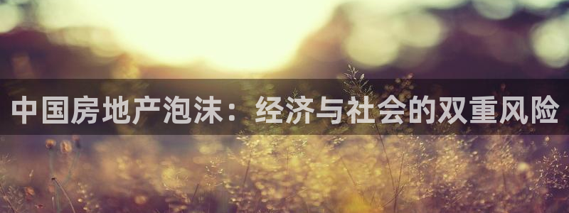 天狮娱乐主管191166薇星h：中国房地产泡沫：经济与社会的