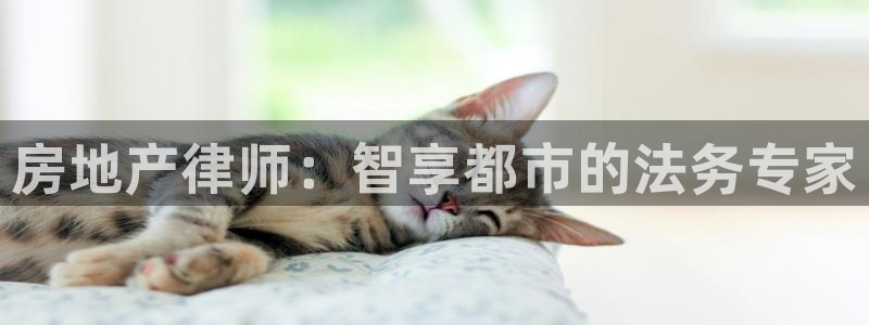 天狮娱乐 a主57661管：房地产律师：智享都市的法务专家