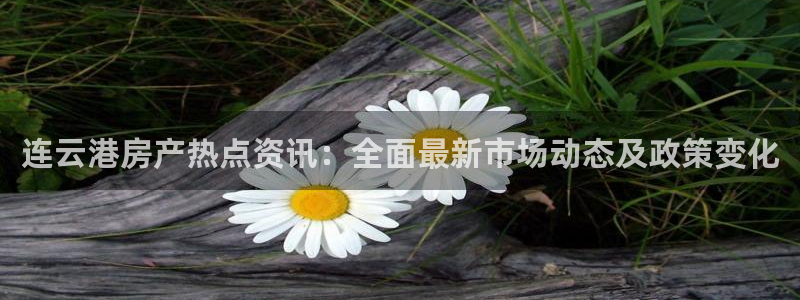 天狮娱乐待遇怎么样：连云港房产热点资讯：全面最新市场动态及政