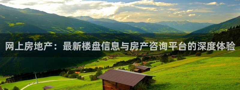 狮山天街娱乐圈：网上房地产：最新楼盘信息与房产咨询平台的深度