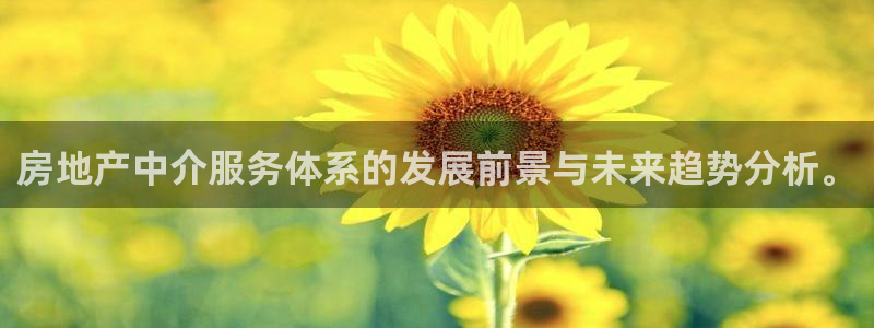 天狮娱乐注册q 0：房地产中介服务体系的发展前景与未来趋势分