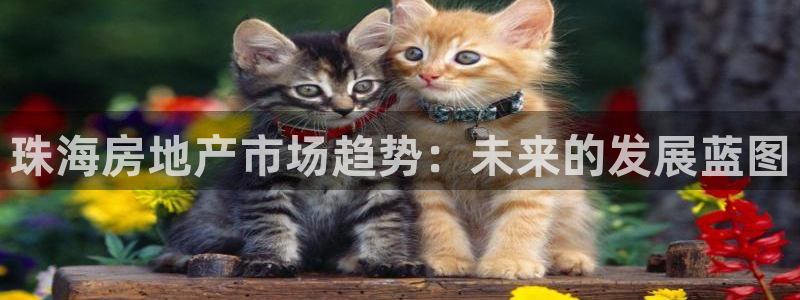 天狮娱乐湫333 00：珠海房地产市场趋势：未来的发展蓝图