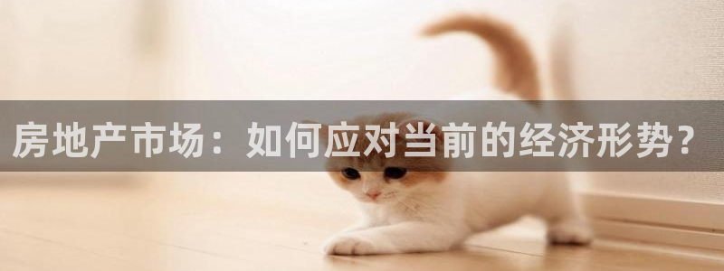 天狮天狮娱乐下载：房地产市场：如何应对当前的经济形势？
