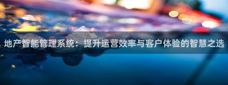 天狮娱乐返点多少：地产智能管理系统：提升运营效率与客户体验的