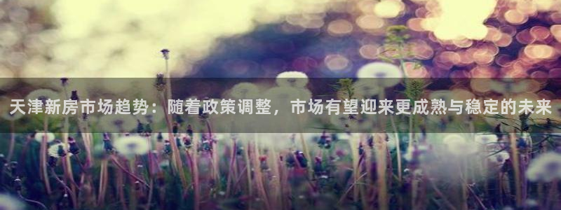天狮娱乐购彩：天津新房市场趋势：随着政策调整，市场有望迎来更