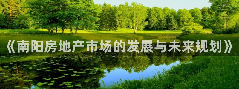 天狮娱乐是什么意思：《南阳房地产市场的发展与未来规划》