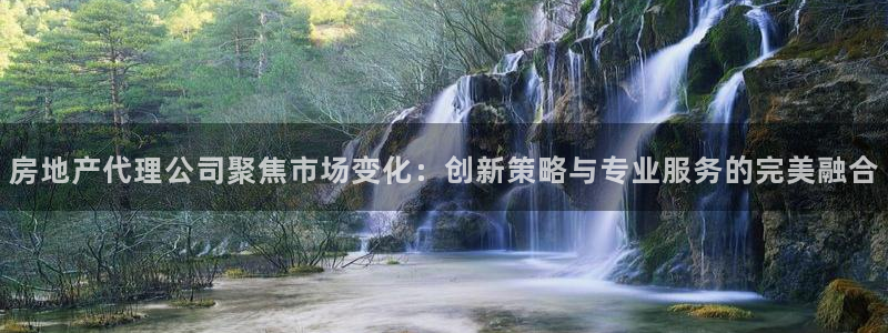 天狮娱乐多：房地产代理公司聚焦市场变化：创新策略与专业服务的