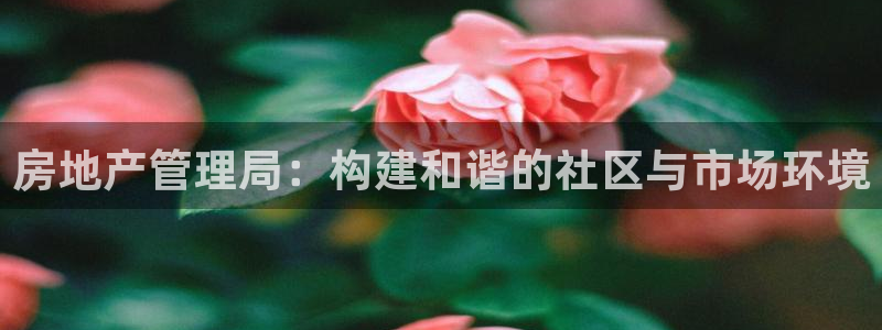 天狮娱乐怎么样：房地产管理局：构建和谐的社区与市场环境