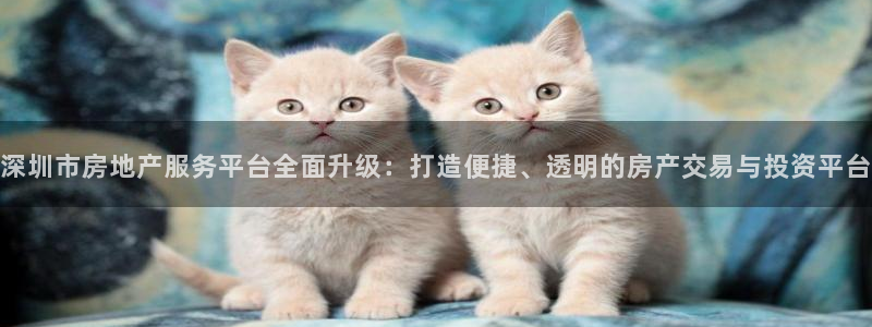 楚雄天狮国际娱乐会所：深圳市房地产服务平台全面升级：打造便捷
