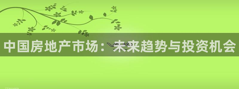 天狮娱乐i股t东64681：中国房地产市场：未来趋势与投资机